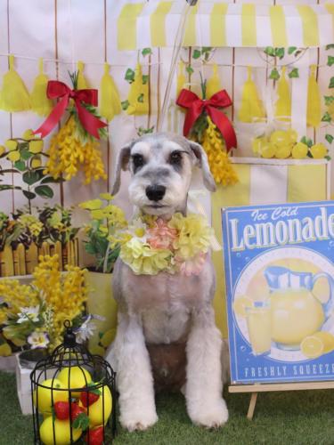 20240427りくくん